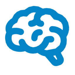 Cerebro / Cognición